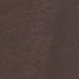 Meet your Posher, Lizzy